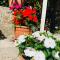 Apartman More