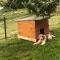 Seosko domacinstvo Becirovic - Kukulik lodgings - 比耶洛波列