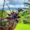 Arenal Garden Lodge