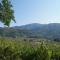 Agriturismo Poggio di Montepescoli - Il Noce