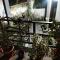 Green View Home Stay