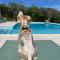 Le Clos Serein