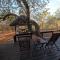 South Safari Lodge