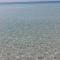 50m dal mare caraibico