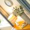 Alpine View - a cosy Aviemore House