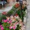 Vila Maslina Guesthouse