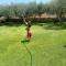 Nasia’s house