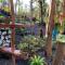 Exotic Garden cottage at amazing volcano fissure - Mountain View