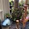 Exotic Garden cottage at amazing volcano fissure