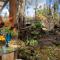Exotic Garden cottage at amazing volcano fissure