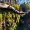 Exotic Garden cottage at amazing volcano fissure - Mountain View