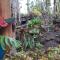 Exotic Garden cottage at amazing volcano fissure - Mountain View