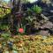 Exotic Garden cottage at amazing volcano fissure - Mountain View