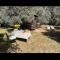 Roulotte / Tiny House dans les Alpilles