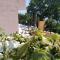 Holiday house Jovich