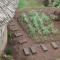 Mai Kilimanjaro Home Stay