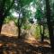 Eagle Rock Nature Stay