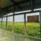 Homestay Kasih Alza -Ada 2 Unit - View Sawah Padi , Private Pool -Prefer Direct Booking- - 马六甲