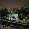 Cosy Guest House - Villa das Alfarrobas