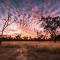 Wild Nature Lodge, Mareeba Wetlands - Biboohra