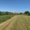 Pheasants Wander at Rosewyn