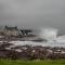 Cushendall Stables