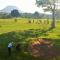 Cushendall Stables - 库申多尔