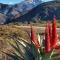 A Touch of Plaas - Ladismith