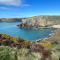 Cuddfan Fach - Pembrokeshire Stunning Barn near the Coastal Path - Abercastle