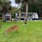 Lake front RV experience close to port Canaveral and Kennedy space center - 泰特斯维尔