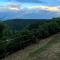 Cottage La Stefania near Anghiari in beautiful setting