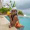 Imara Beach Resort