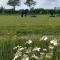 Wetterwillefriesland