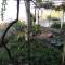 MATAS HOUSE