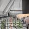 Apartamento Eddies Haus 3 dorm by Achei Gramado