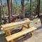 Holly Nest a Cozy Cabin Getaway near Gatlinburg