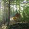 Holly Nest a Cozy Cabin Getaway near Gatlinburg - Cosby