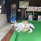 Camping La Ferme de Perdigat