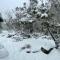 Walk to Slopes & Village, Stylish 2BR Thredbo Chalet with Garage