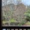 Peaceful cottage in beautiful landscaped native bush gully - Tamahere