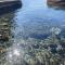 the monk seal boathouse