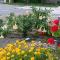 Vacation home Zdravka