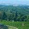 House with a view in Tuscany - San Gusmè