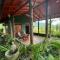 Mossy Forest Chalets