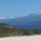 Clematisso photo 11