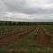 Villa au calme 20 min de la mer face aux vignes - Lieuran-lès-Béziers