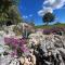 Villa Stancia Cicada- At Home In Istria