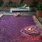Lavender Villa & Spa
