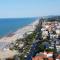 Ammare