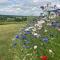 Cosy cabin in Annie’s meadow - West Meon